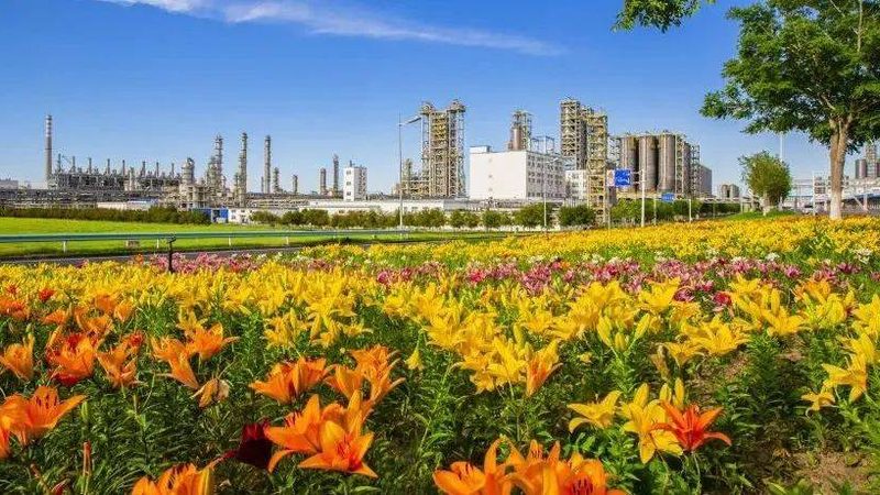 家电专用改性塑料颗粒：揭秘其价格背后的因素